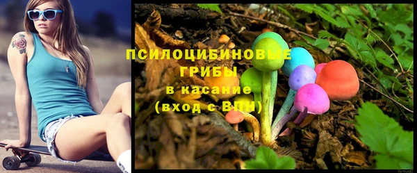 винт Инсар